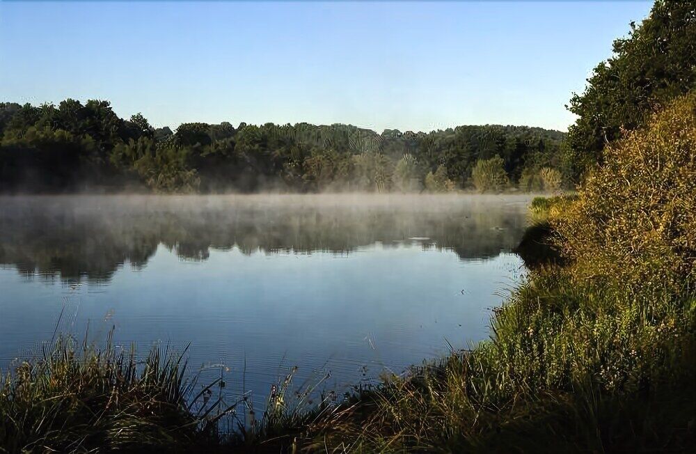Terres De France - Le Domaine Du Moulin Neuf Hotell Rochefort-en-Terre Eksteriør bilde