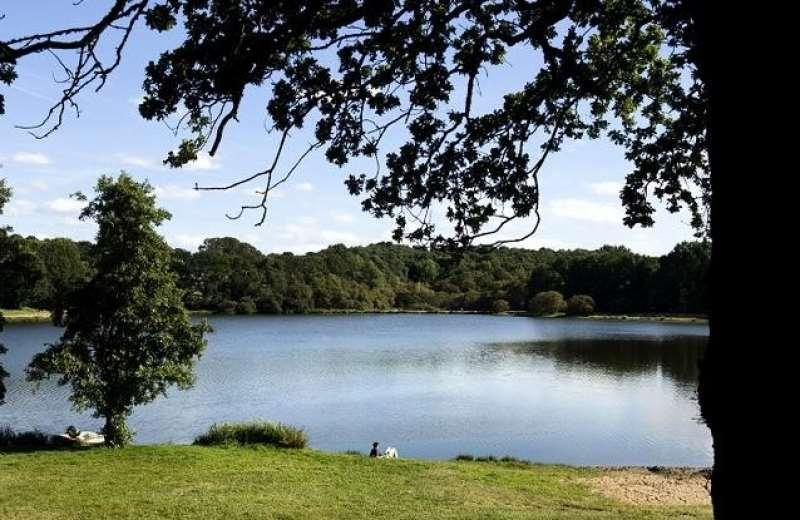 Terres De France - Le Domaine Du Moulin Neuf Hotell Rochefort-en-Terre Eksteriør bilde